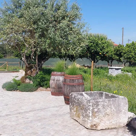 Adega D'aldeia Com Piscina E Jacuzzi Ulmeiro