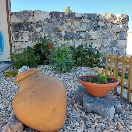 Adega D'aldeia Com Piscina E Jacuzzi Holiday home