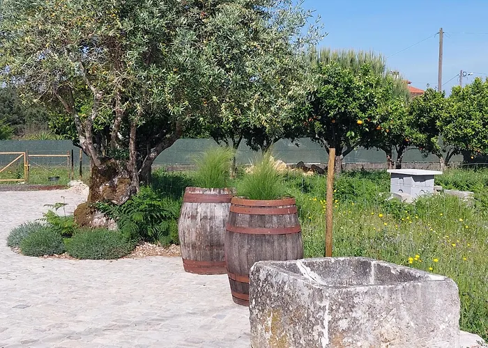 Adega D'aldeia Com Piscina E Jacuzzi Ulmeiro